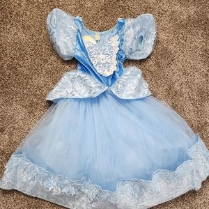 Mommy and Me Halloween Costume. Cinderella, carriage, and Fairy Godmother